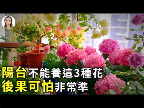 陽台種百香果風水|陽台植物風水指南：打造生機勃勃、招財納福的綠色天。